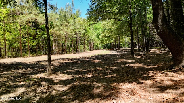150 Central Blvd, Flora, MS 39071