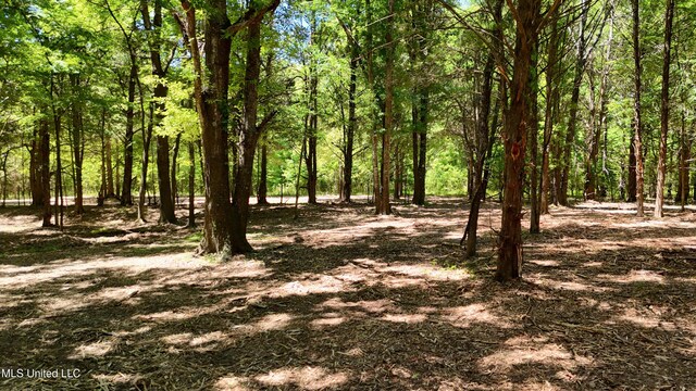 150 Central Blvd, Flora, MS 39071