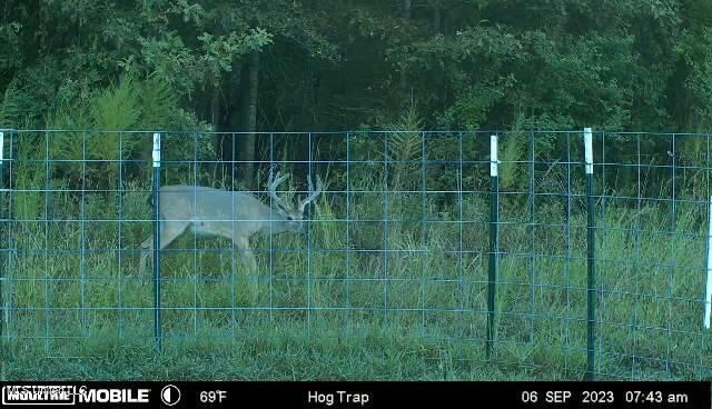 150 Central Blvd, Flora, MS 39071