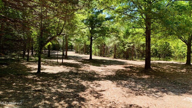 150 Central Blvd, Flora, MS 39071