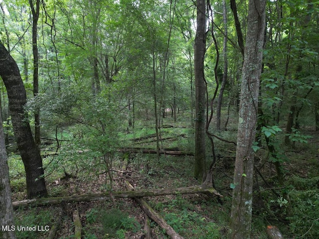 3 Old Hamburg Roxie Rd, Roxie, MS 39661