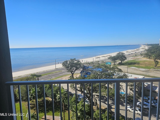 water view with a view of the beach