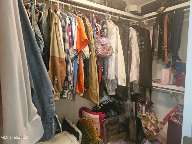 view of spacious closet