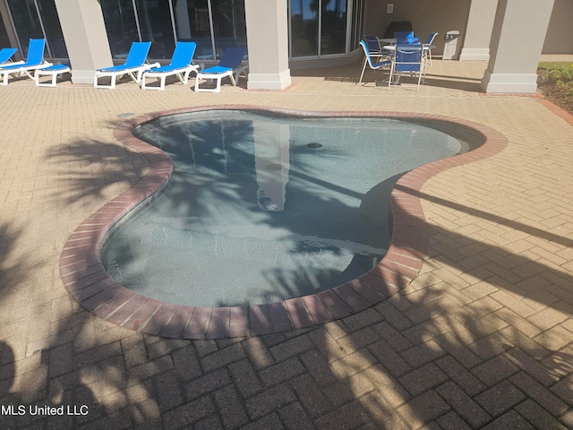 view of swimming pool with a patio area