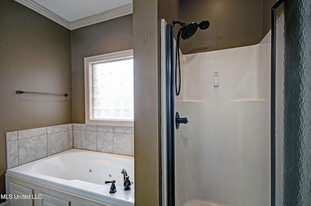 127 Rockbridge Cir, Clinton, MS 39056 - full bathroom featuring a stall shower, a jetted tub, and crown molding