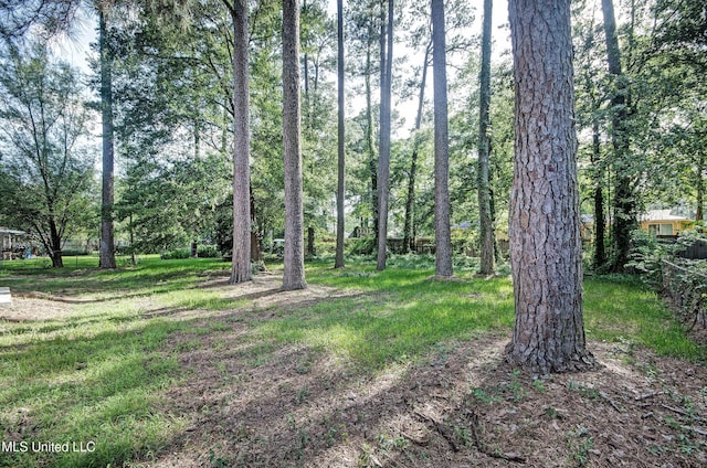 226 N Shenandoah Rd, Brandon, MS 39047 - view of yard