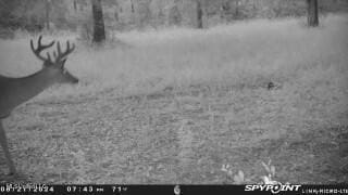 0 Esther Rd, Saucier, MS 39574