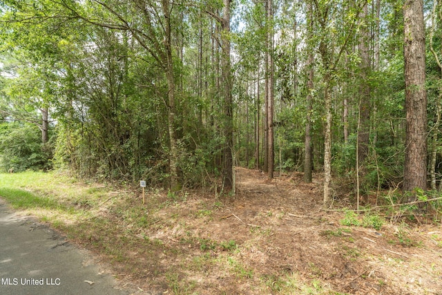 0 Esther Rd, Saucier, MS 39574