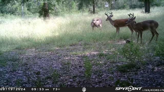 0 Esther Rd, Saucier, MS 39574