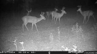 0 Esther Rd, Saucier, MS 39574
