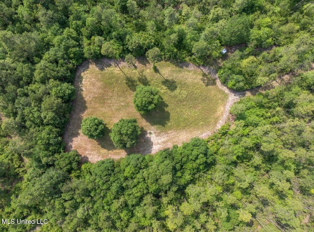 0 Esther Rd, Saucier, MS 39574