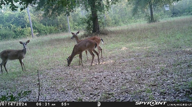 0 Esther Rd, Saucier, MS 39574