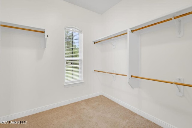 17000 River Pl, Vancleave, MS 39565 - walk in closet with carpet flooring