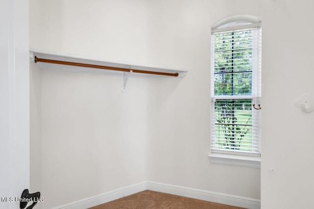 17000 River Pl, Vancleave, MS 39565 - spacious closet with carpet flooring