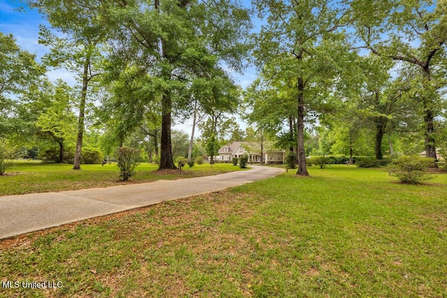 17000 River Pl, Vancleave, MS 39565 - view of grassy yard with driveway
