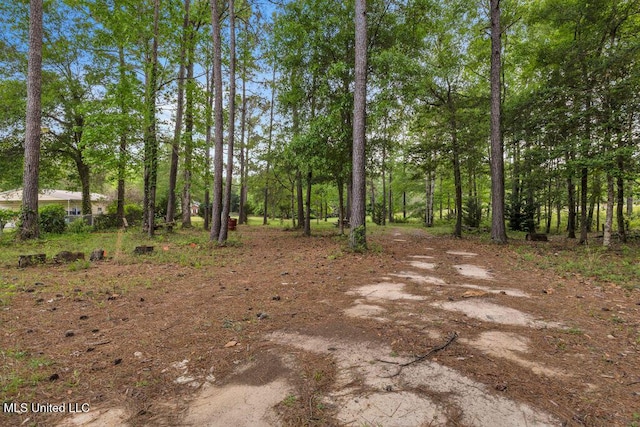 17000 River Pl, Vancleave, MS 39565 - view of nature