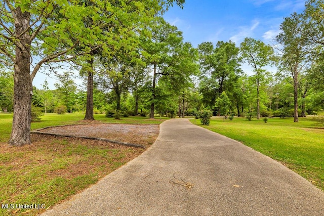 17000 River Pl, Vancleave, MS 39565 - view of home's community featuring a yard and view of scattered trees