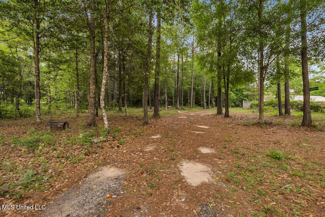 17000 River Pl, Vancleave, MS 39565 - view of yard