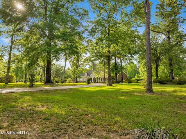 17000 River Pl, Vancleave, MS 39565 - view of home's community featuring a yard