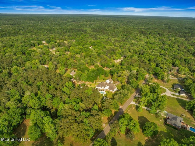 17000 River Pl, Vancleave, MS 39565 - aerial view of property's location with a heavily wooded area