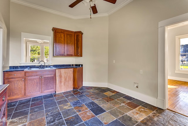 kitchen featuring sink, crown molding, dark hardwood / wood-style floors, and ceiling fan