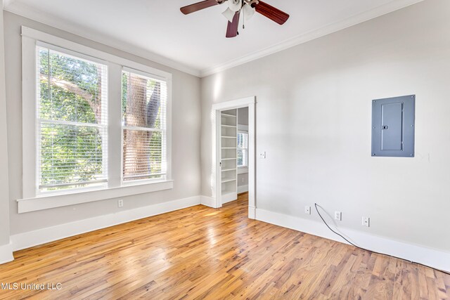 empty room with a healthy amount of sunlight, electric panel, and light wood-type flooring