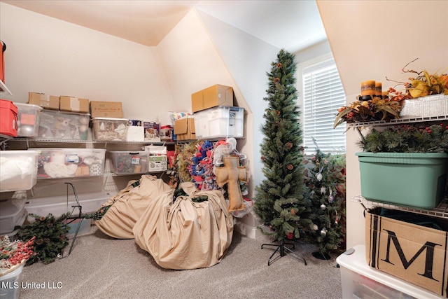 8063 Elizabeth Dr, Olive Branch, MS 38654 - view of storage room