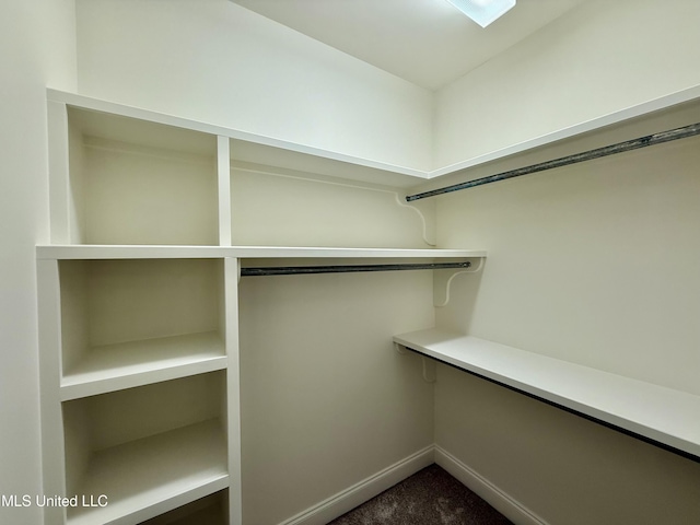 spacious closet featuring dark carpet