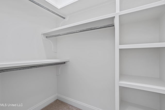 walk in closet with carpet flooring