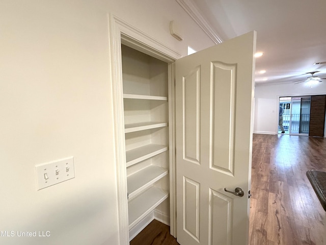 view of closet