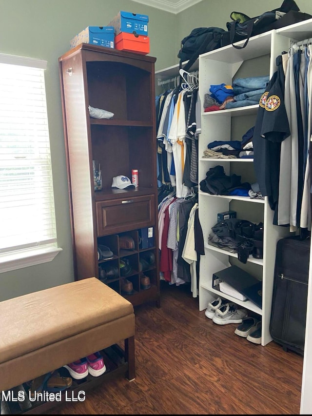 walk in closet featuring wood finished floors