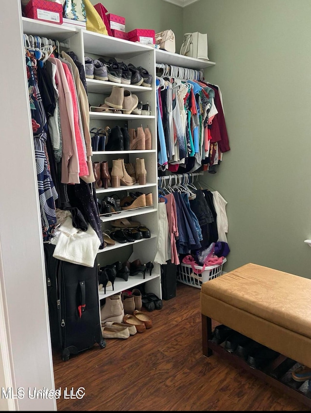 spacious closet with wood finished floors