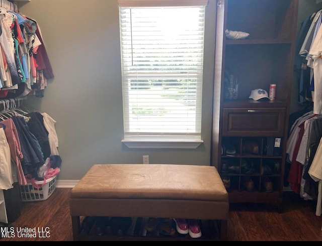 spacious closet with wood finished floors
