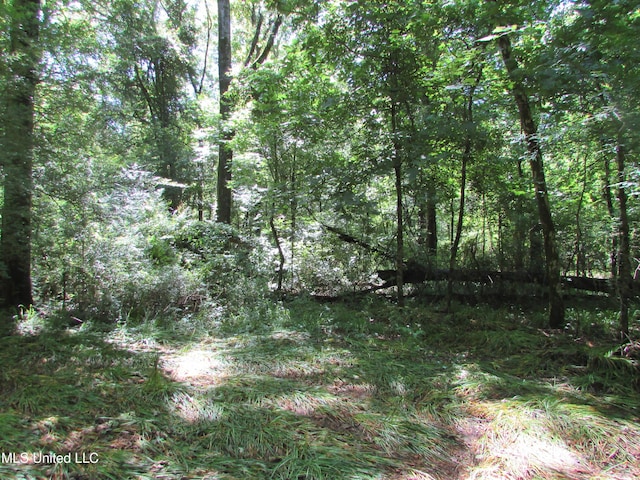 Bend Rd, Vaughan, MS 39179