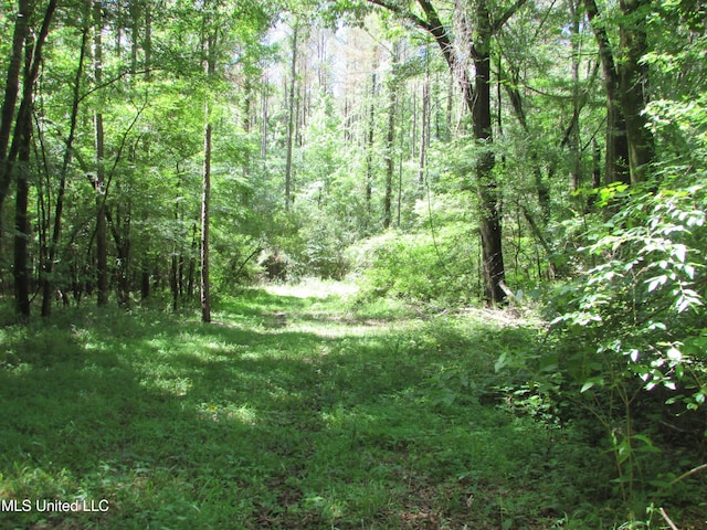 Bend Rd, Vaughan, MS 39179