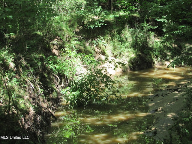 Bend Rd, Vaughan, MS 39179