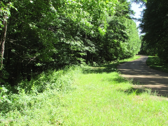 Bend Rd, Vaughan, MS 39179