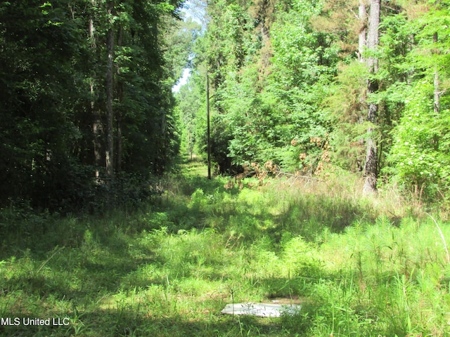 Bend Rd, Vaughan, MS 39179