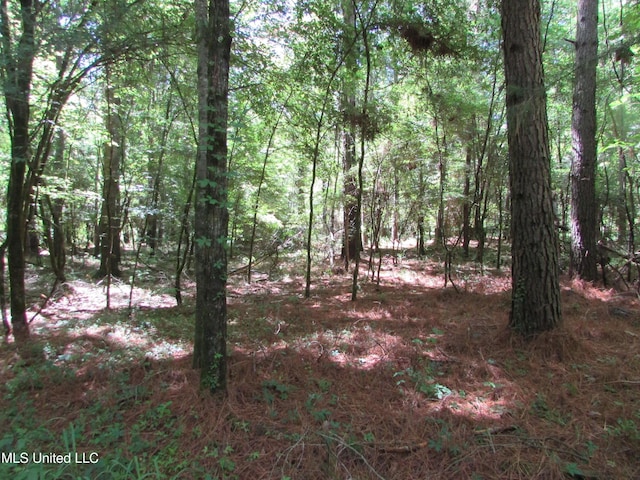 Bend Rd, Vaughan, MS 39179