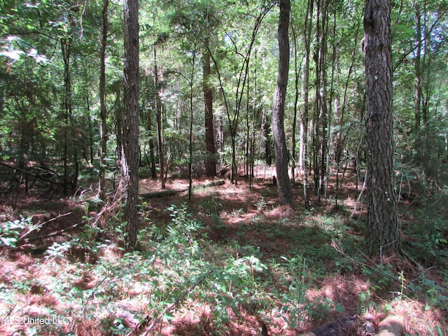 Bend Rd, Vaughan, MS 39179