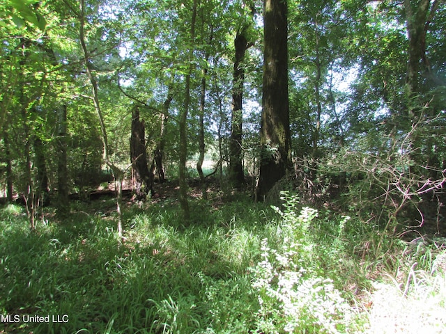 Bend Rd, Vaughan, MS 39179