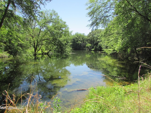 Bend Rd, Vaughan, MS 39179