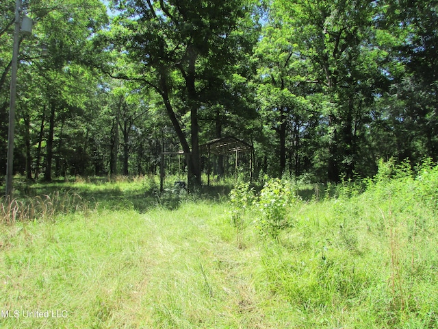 Bend Rd, Vaughan, MS 39179