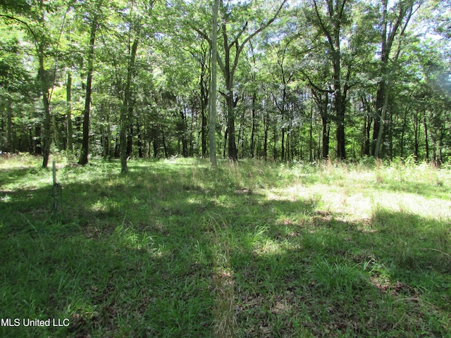 Bend Rd, Vaughan, MS 39179