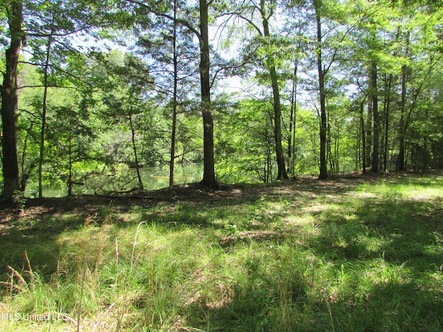 Bend Rd, Vaughan, MS 39179