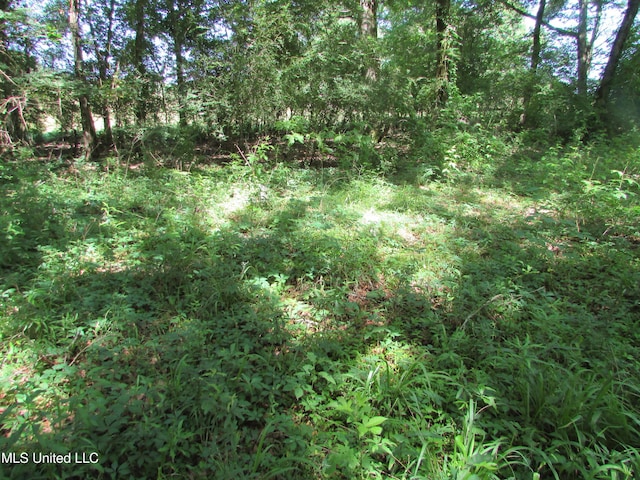 Bend Rd, Vaughan, MS 39179