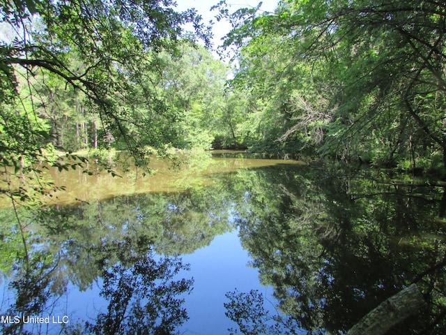 Bend Rd, Vaughan, MS 39179