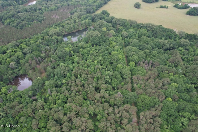 Bend Rd, Vaughan, MS 39179