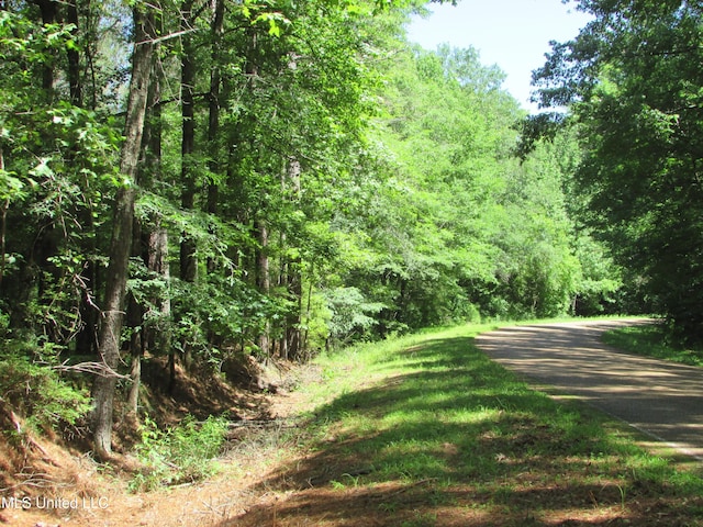 Bend Rd, Vaughan, MS 39179