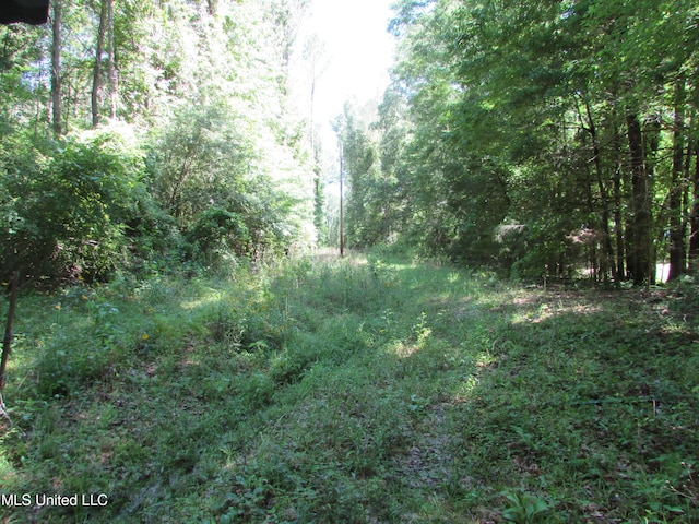 Bend Rd, Vaughan, MS 39179